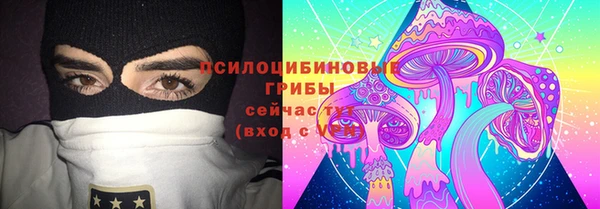 стаф Алексеевка
