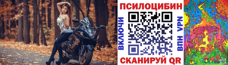 Псилоцибиновые грибы мицелий Кашин